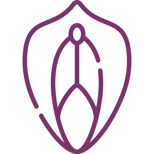 Dra. Nancy Monteiro | Ginecologia e Obsterícia